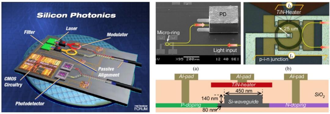 1628834442130046A6D6.jpg 4909E3735644BEEDA4FEC80D4E7EB980.jpg